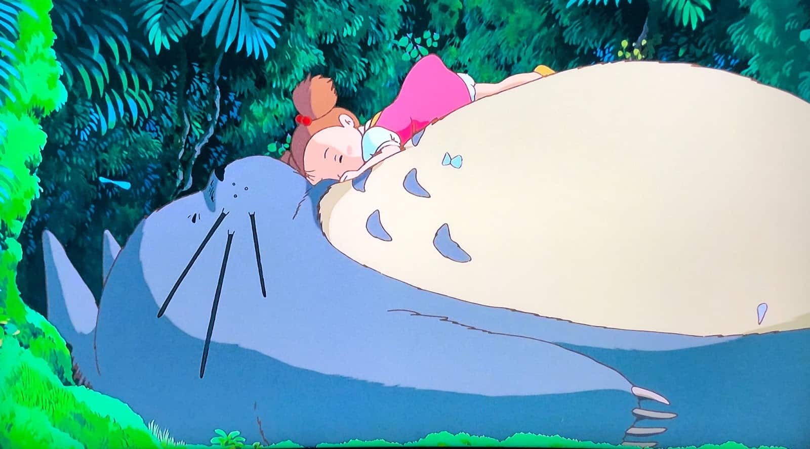 Mei sleeping face down on top of Totoro's chest in the middle of a forest
