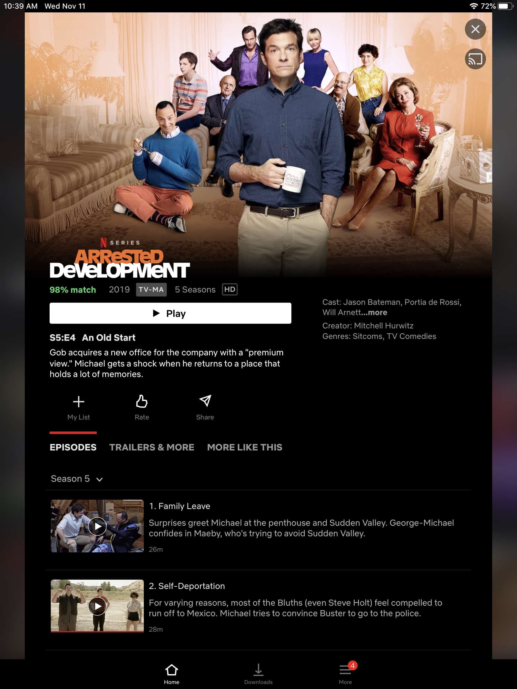 Netflix - iPad Show Screen